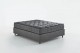 BLACK TOUCH Saltea (Kn)